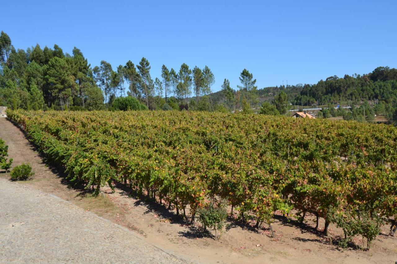 Quinta Do Medronheiro Hotel Rural วีเซว ภายนอก รูปภาพ